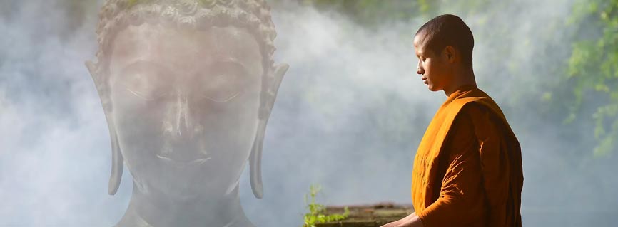 Health Advisors in Greenville, NC